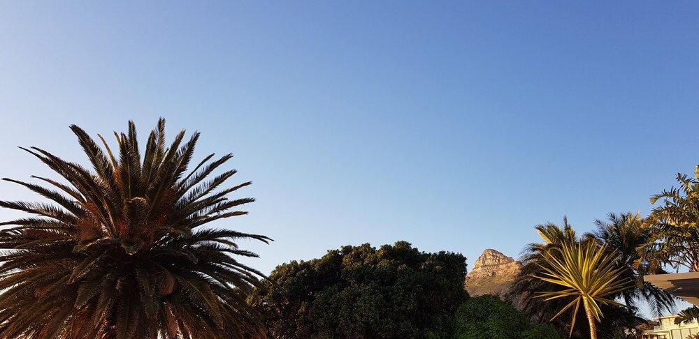 Beta Beach Guest House Deluxe Double Room, 1 Queen Bed, Sea View 15