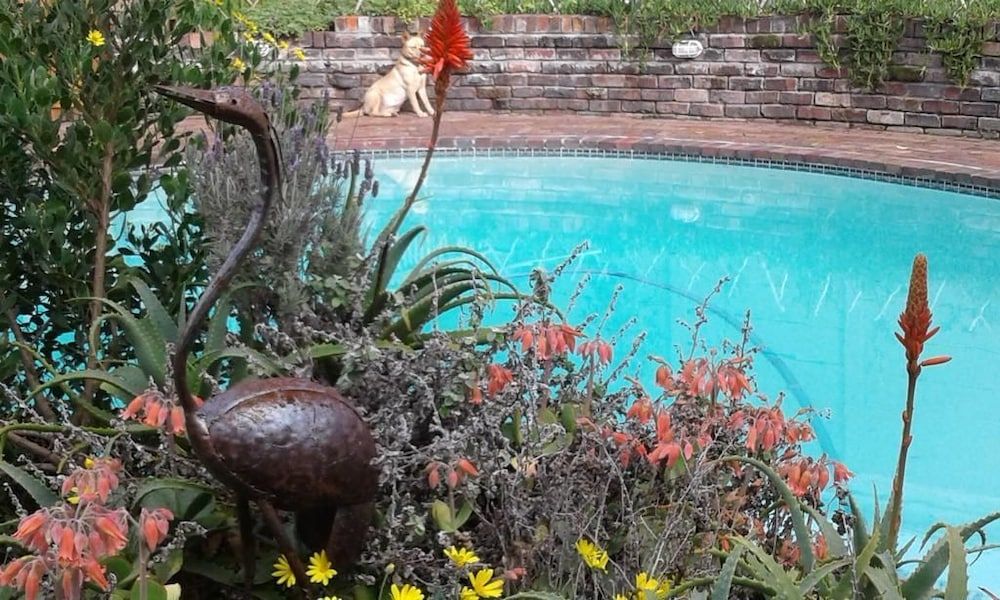 undefined Cozy Quirky Cottage 3