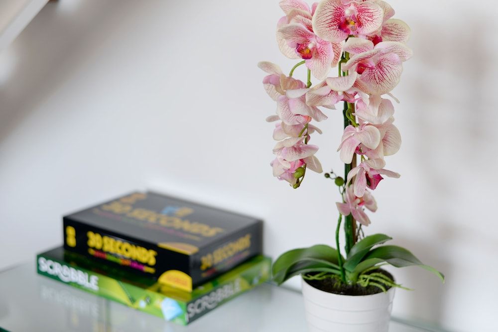 Naomi By Stay Amazing Design Penthouse 23