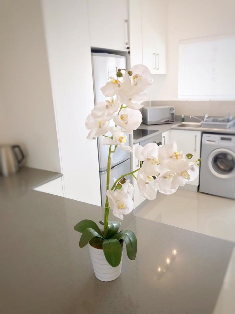 undefined Portswood Mews 14 by CTHA 6