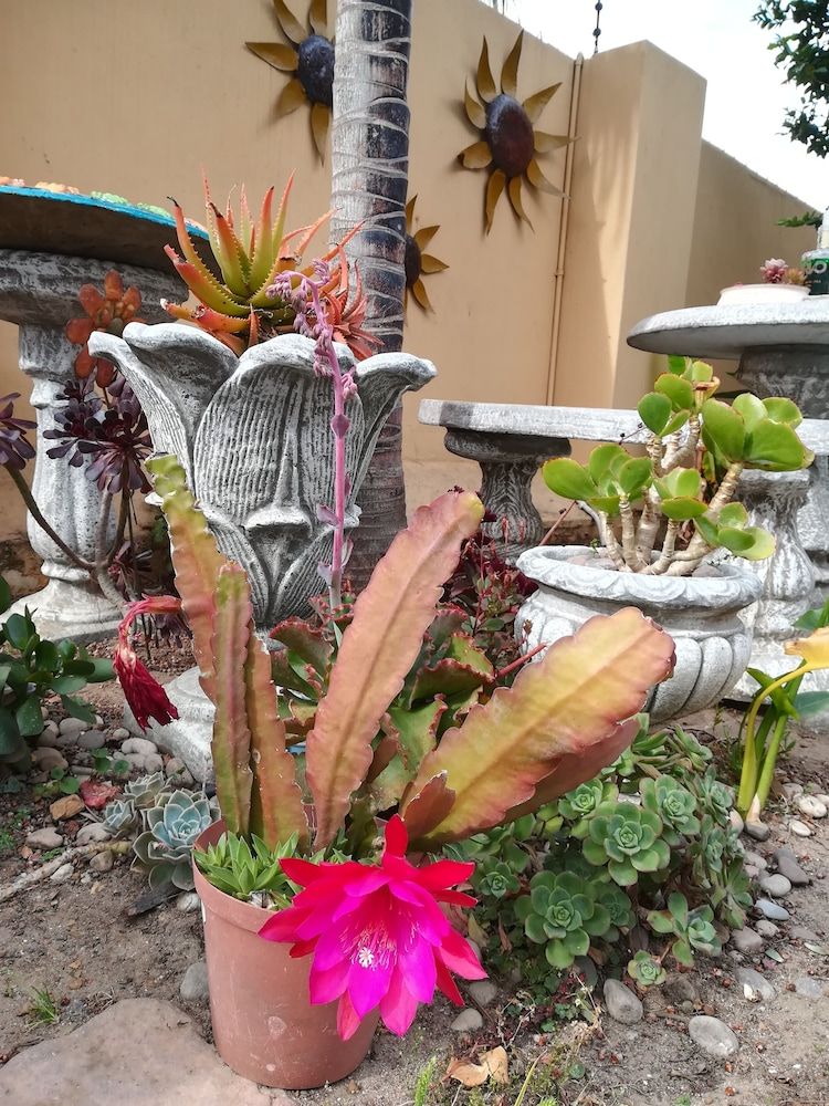 undefined A Sunflower Stop - Hostel 8