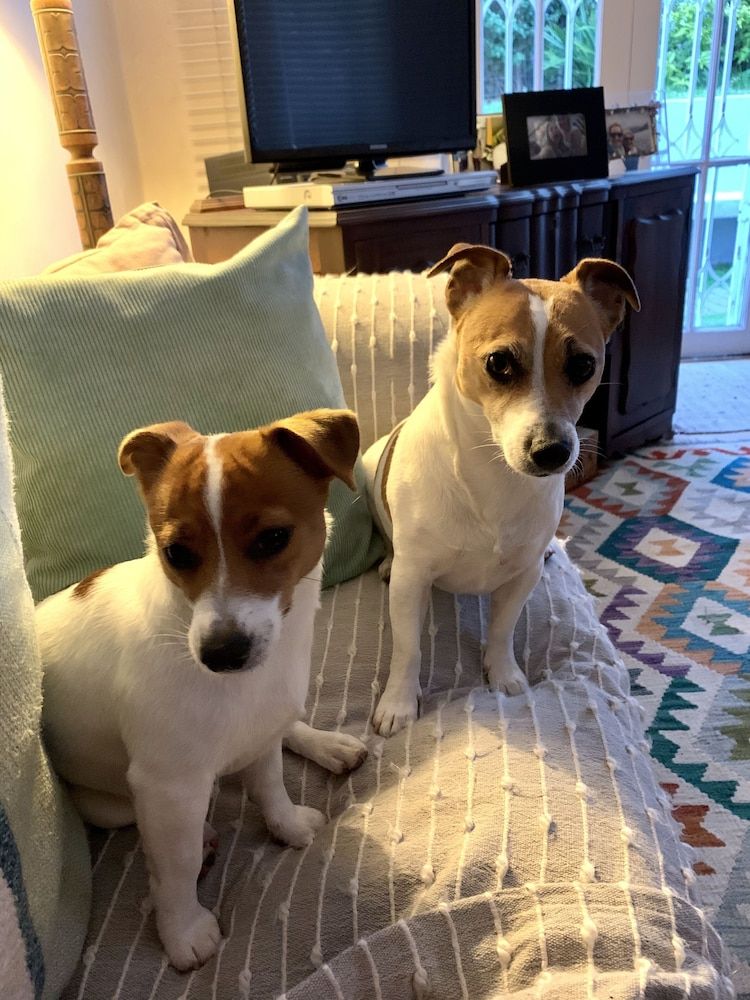 undefined Room in Apartment - Private Room Vredehoek 10