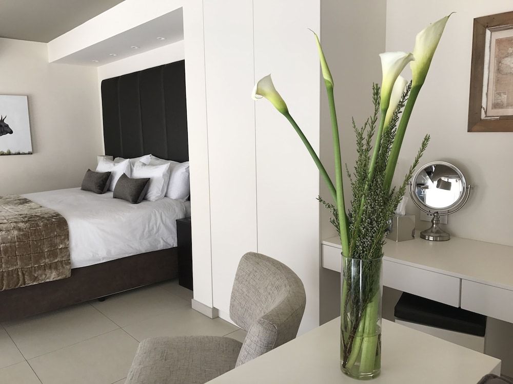 undefined Cape Vermeer 9