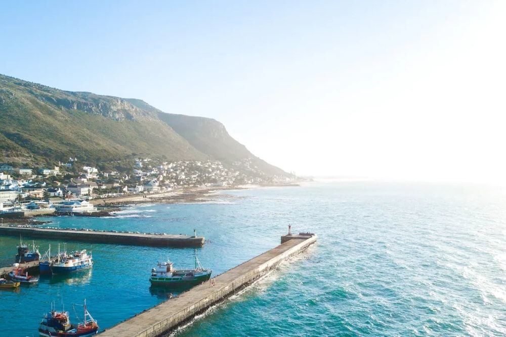 Boho Chic Studio Apartment in Cape Town Basic Studio, 1 Queen Bed with Sofa bed 15