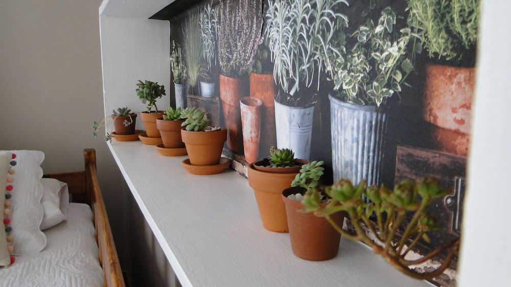 Aalkies Dream Luxurious Selfcatering Apartment, 1 Bedroom 13