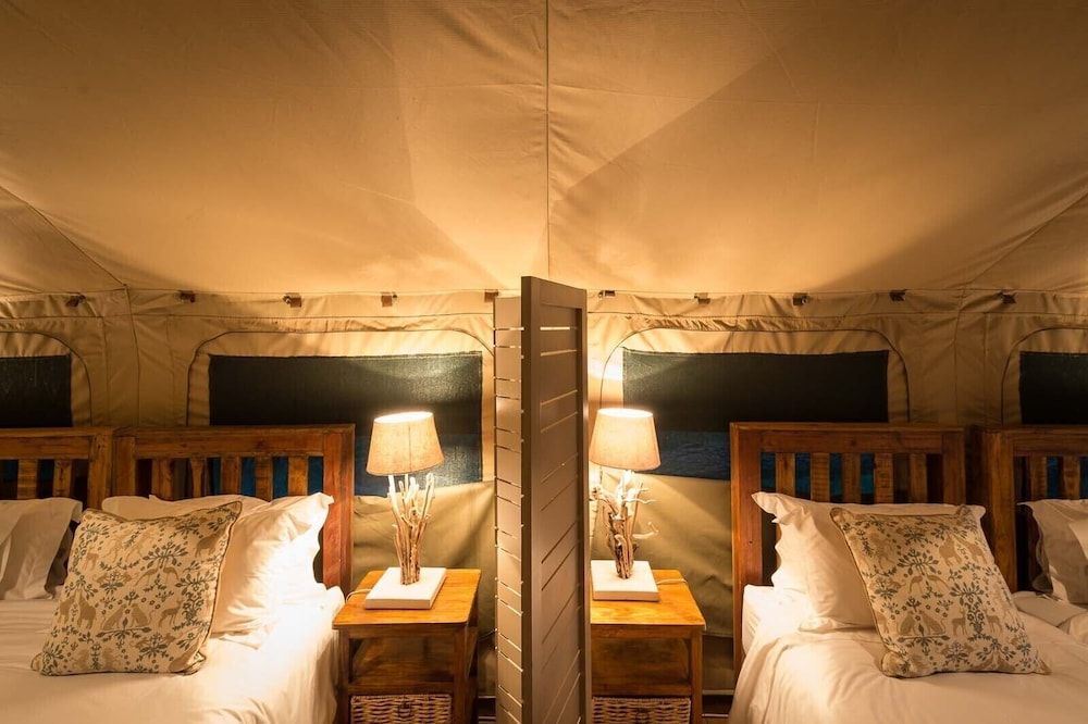 Bush Willow Tent