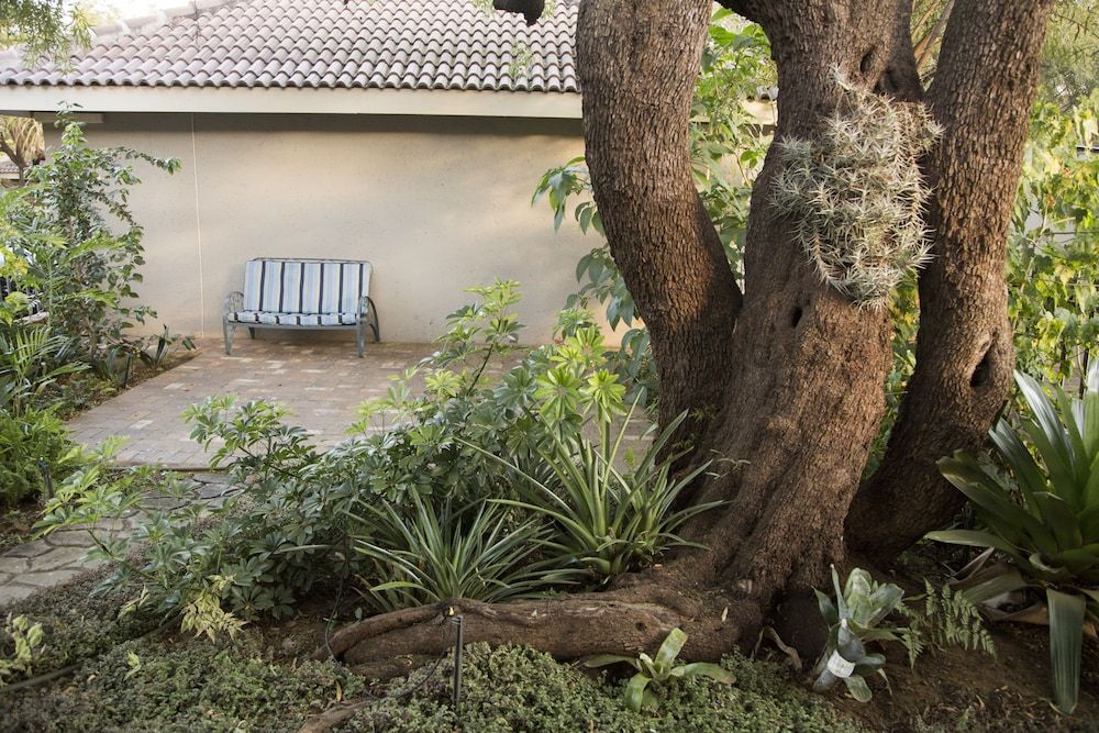 Children's Play Area