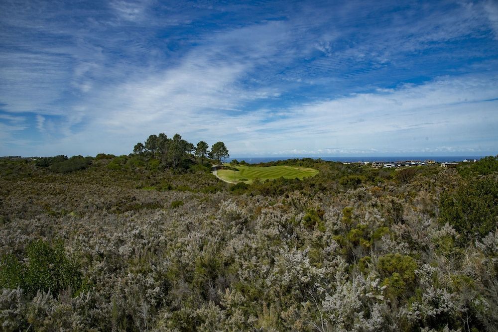 undefined 2 Sheerline 3