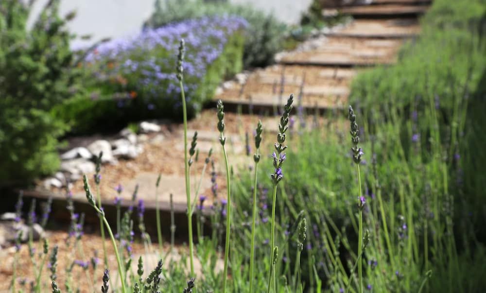 undefined Home with an Ocean view 5