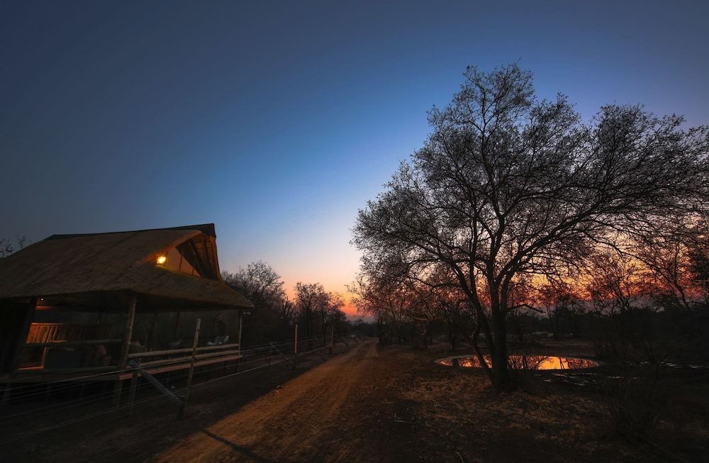 undefined Nkala Safari Lodge 4