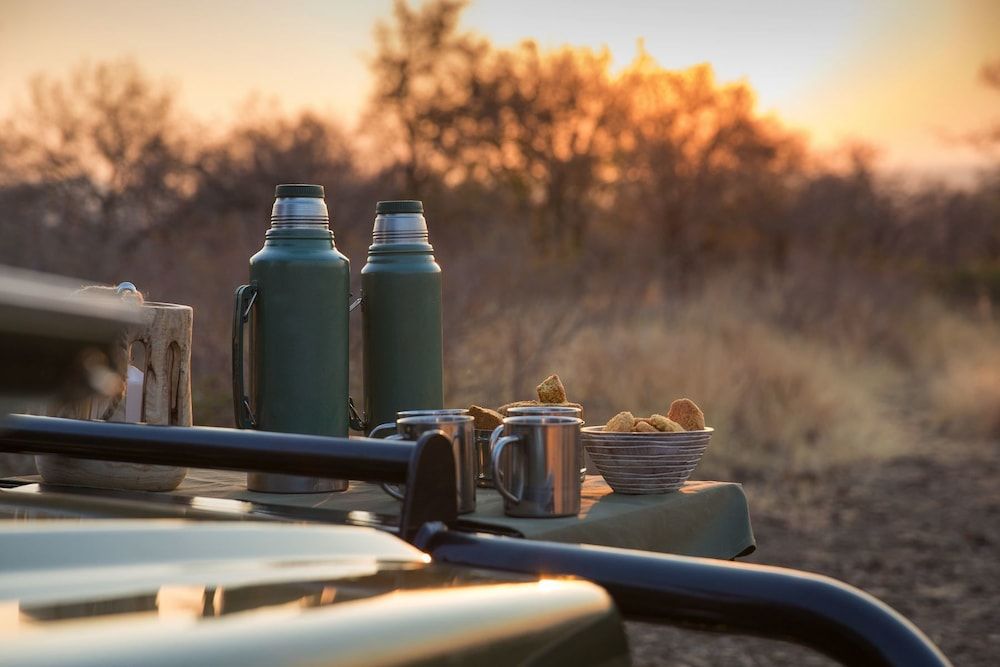 undefined Nkala Safari Lodge 10