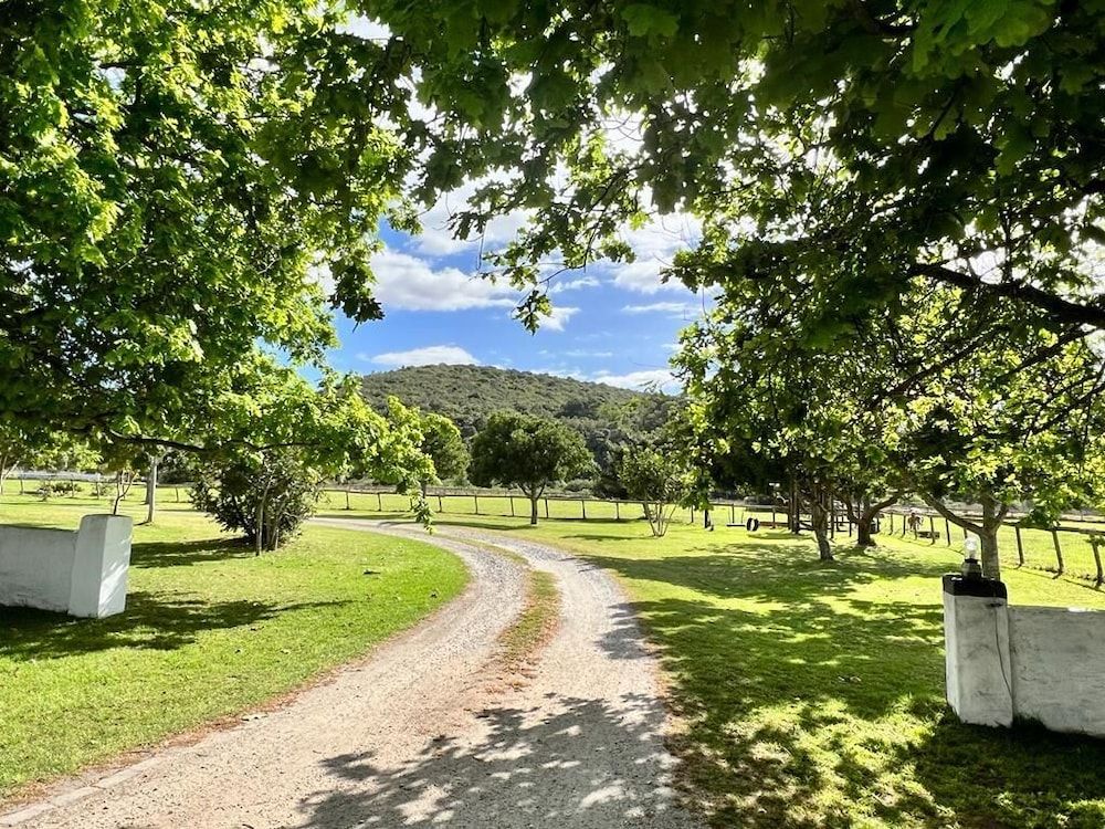 undefined Bitou River Lodge 10