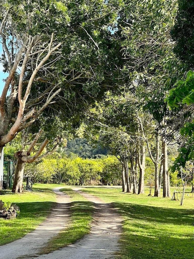 undefined Bitou River Lodge 3