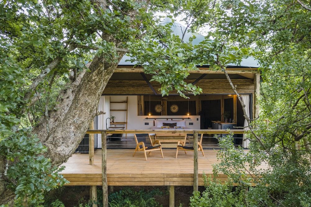 Honeymoon Tent