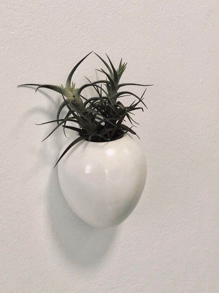 Karee Manor Guesthouse Deluxe Suite, 1 Bedroom 8