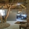 Thulani Game Lodge And Eco Estate