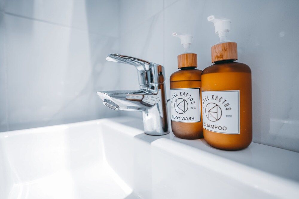 Kactus Hotel Standard Double Room (A) 10