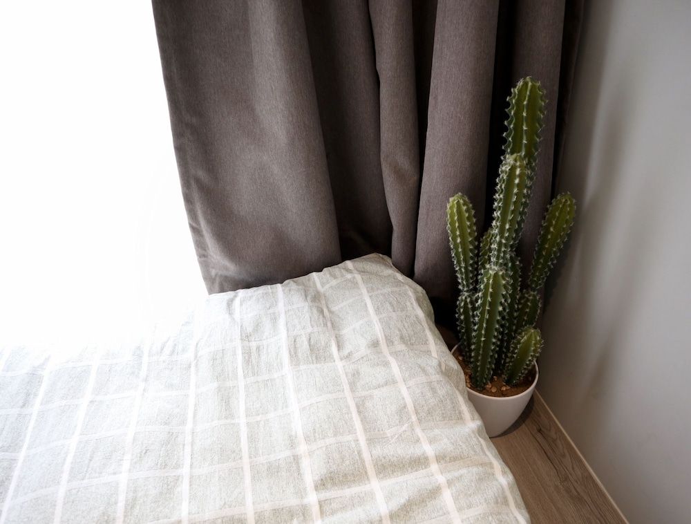 Kactus Hotel Standard Double Room (A) 11