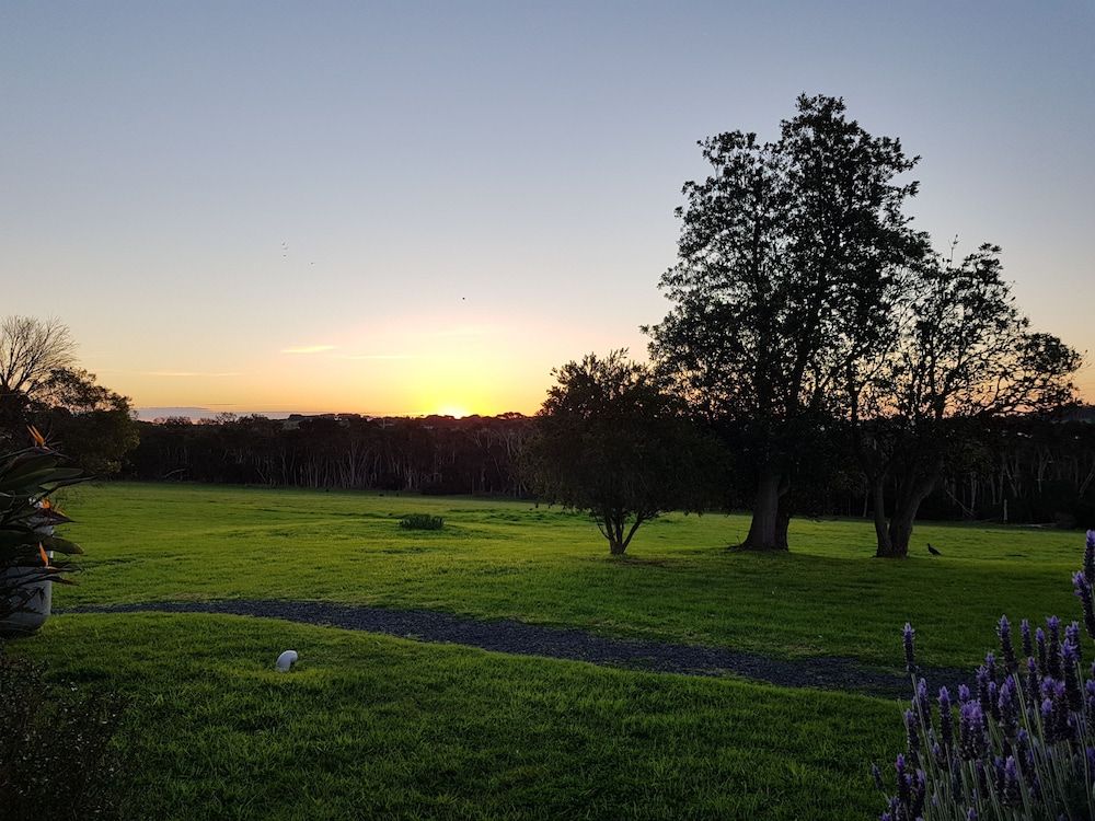 Land View from Property