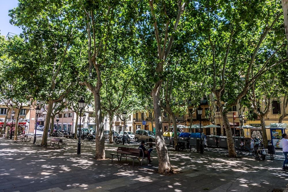 undefined Opening Doors Gracia 8