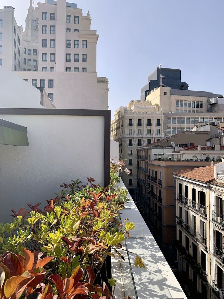 7 Islas Hotel Penthouse, Terrace 6