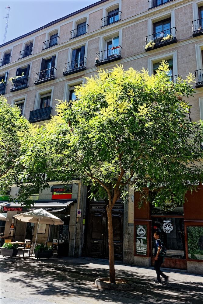 undefined Arenal Suites Preciados 8