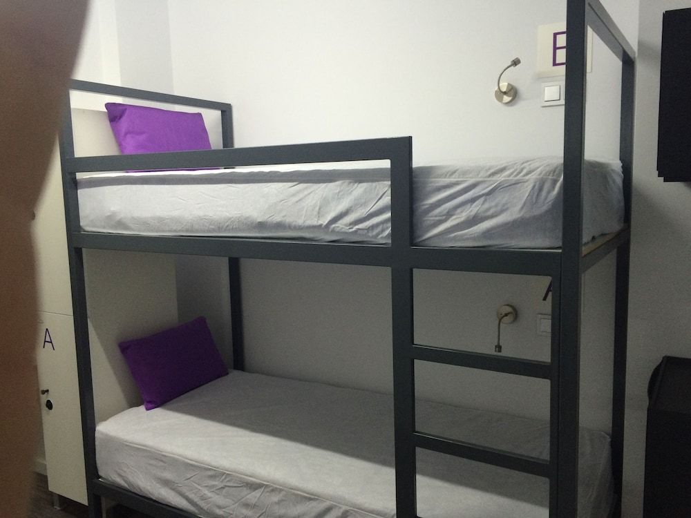 undefined Chameleon Hostel 3