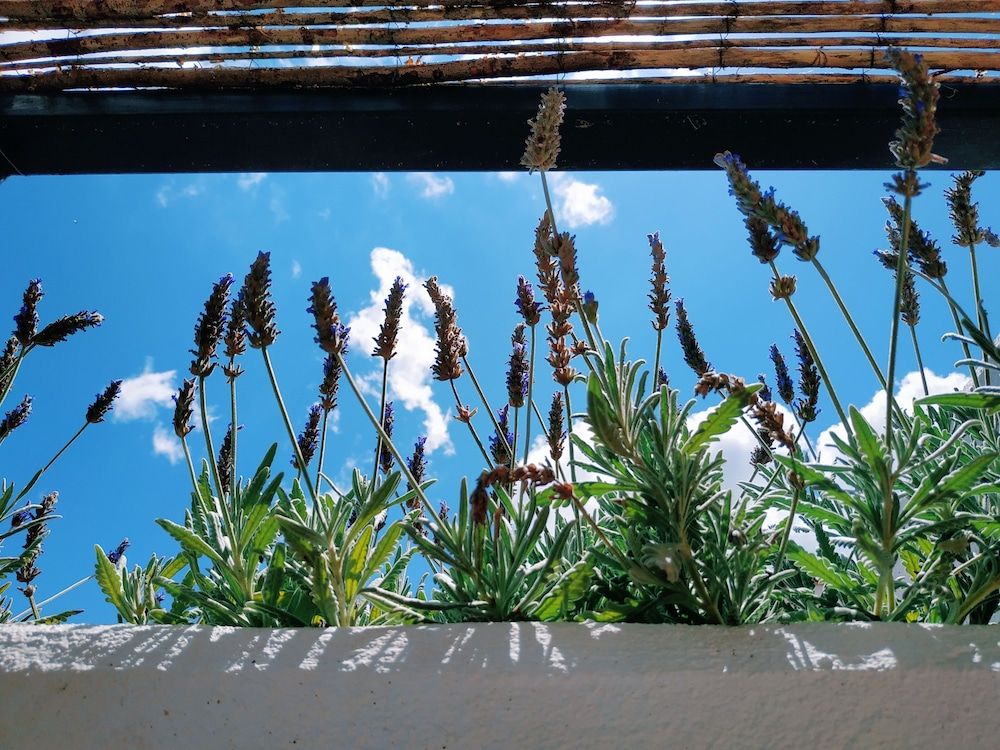 Casa Campana Superior Double Room 2