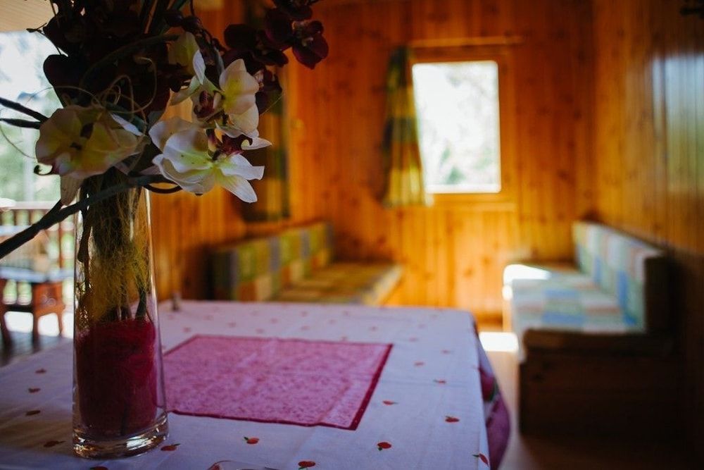 Family Cabin, 2 Bedrooms, Garden View