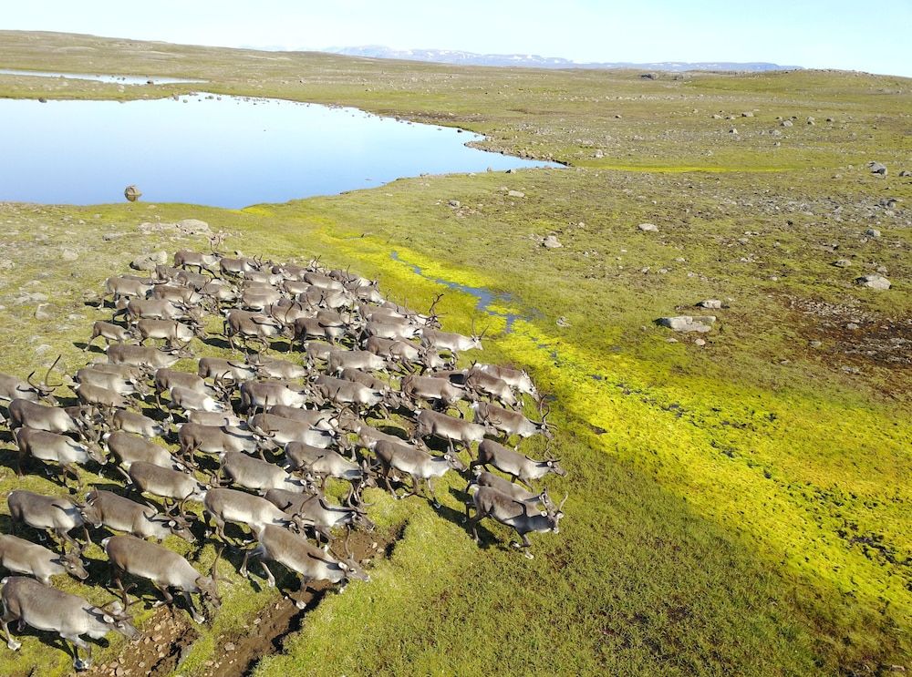 Lindarbrekka Cottage, 1 Bedroom (Dys) 3