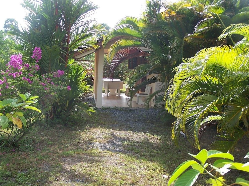 Coconut Valley Bed & Breakfast