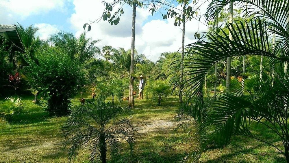 Coconut Valley Bed & Breakfast