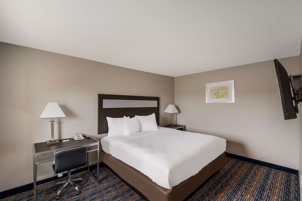Room, 1 Queen Bed, Non Smoking