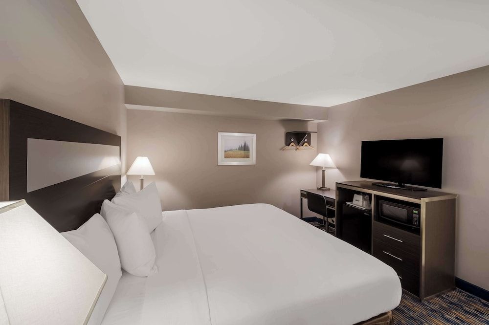 Room, 1 King Bed, Non Smoking