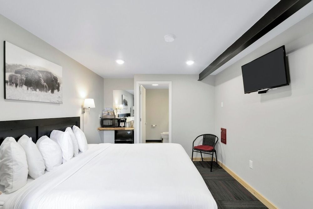 Traditional Room, 1 King Bed