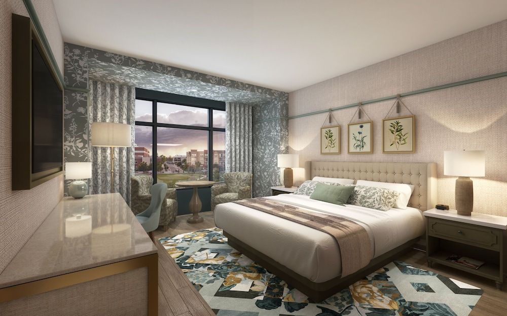 Studio, 1 King Bed, Accessible