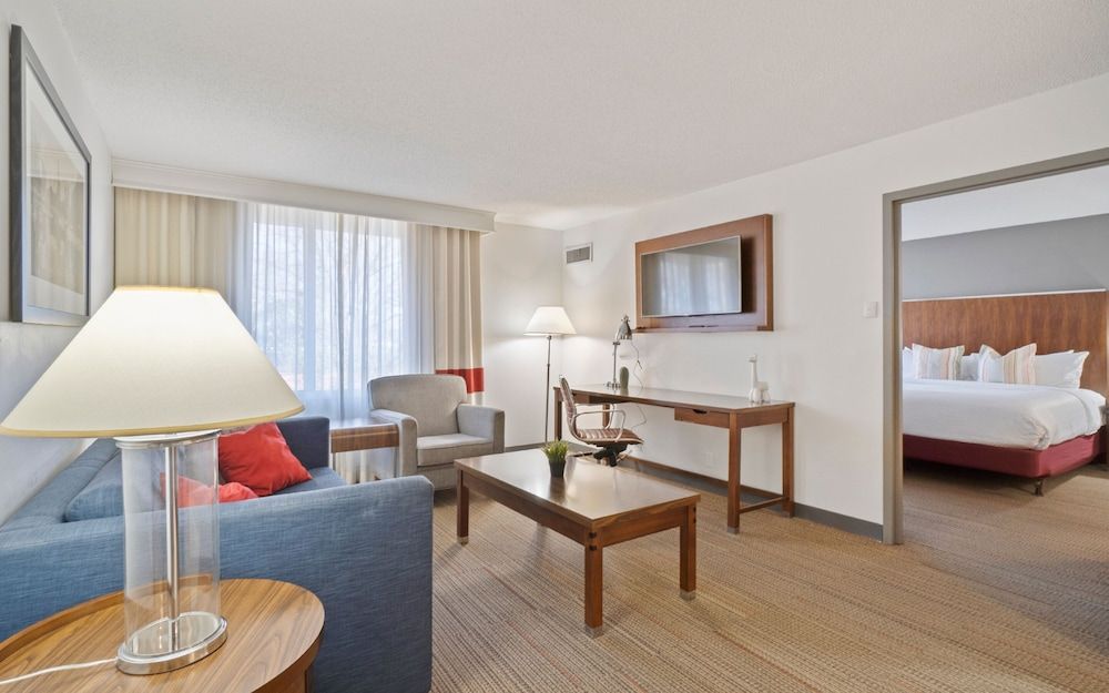 Suite, 1 King Bed with Sofa bed