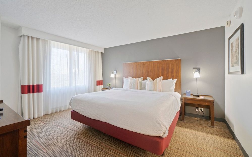 Suite, 1 King Bed with Sofa bed