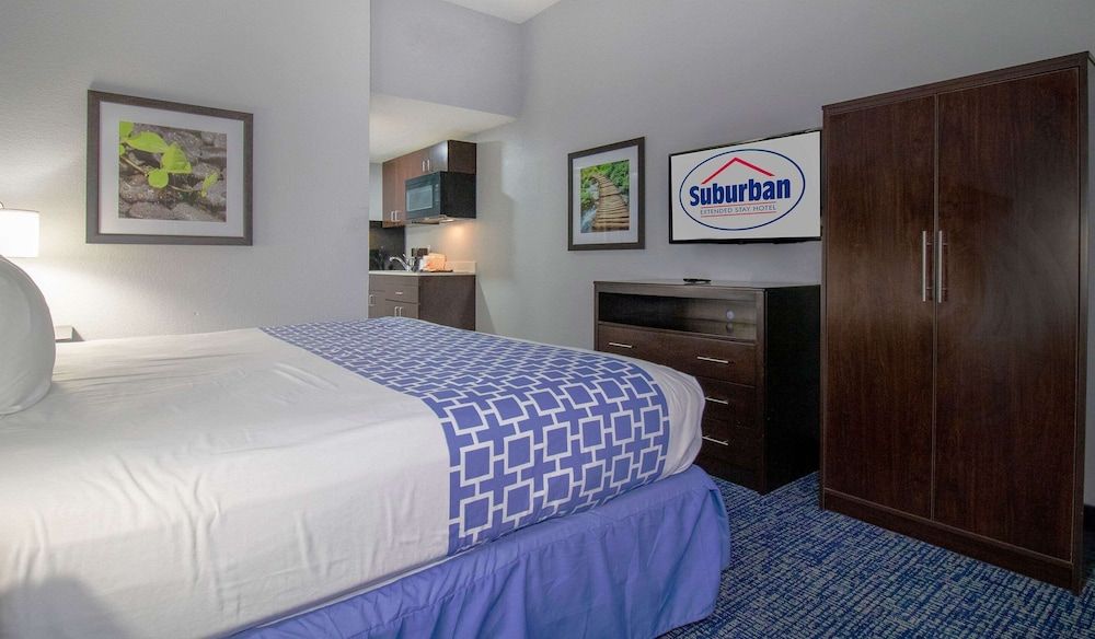 Room, 1 King Bed, Non Smoking (Efficiency)