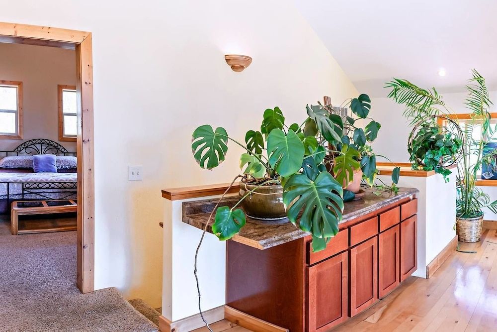 Chalet (3 Bedrooms)