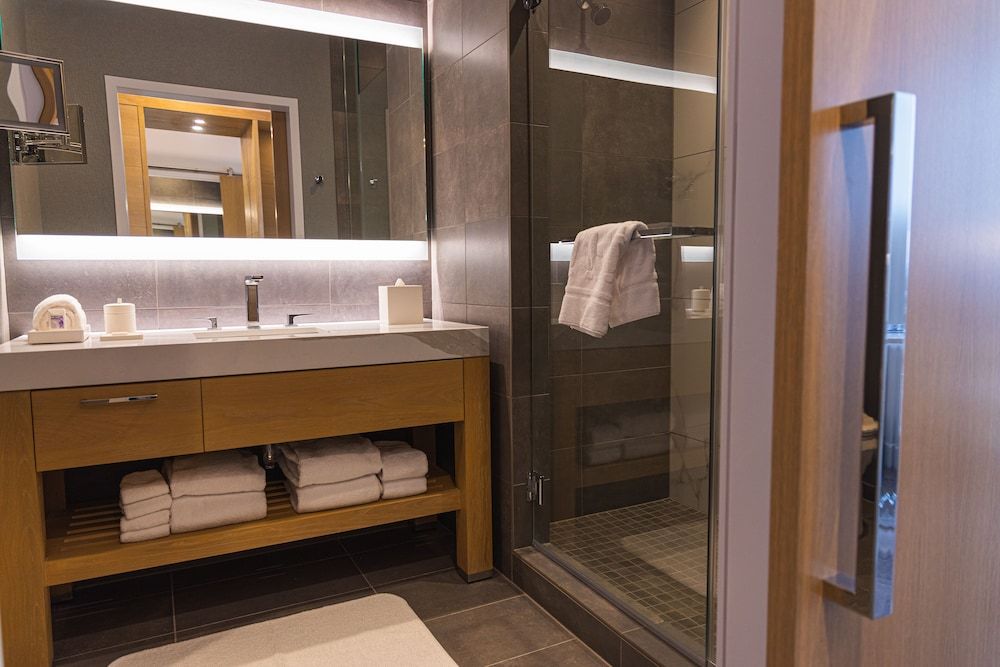 Live Casino & Hotel - Philadelphia Deluxe King - ADA 4