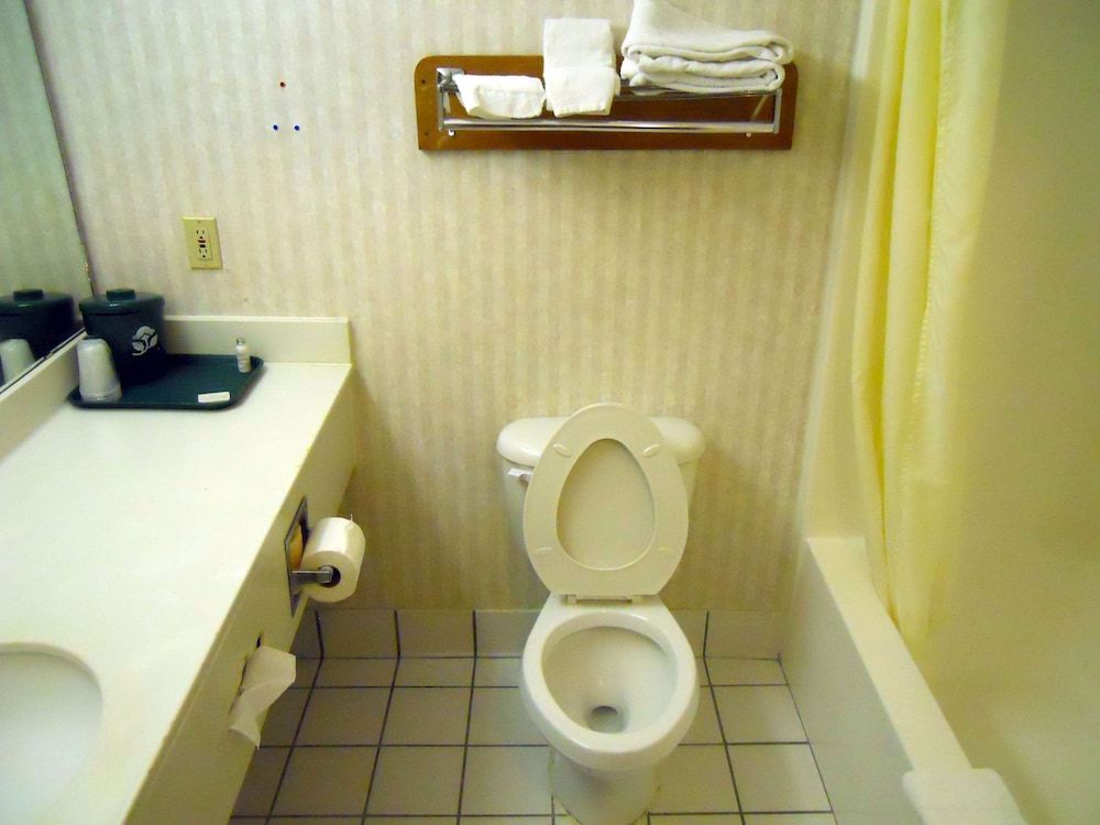 Suite, 1 King Bed, Non Smoking (Privacy Suite)