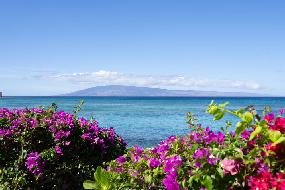 Kuleana 613 1 Bdrm 1 Bedroom Condo by RedAwning Condo, 1 Bedroom 9