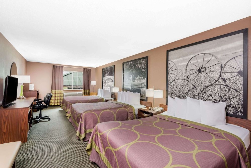 Studio, Multiple Beds, Non Smoking
