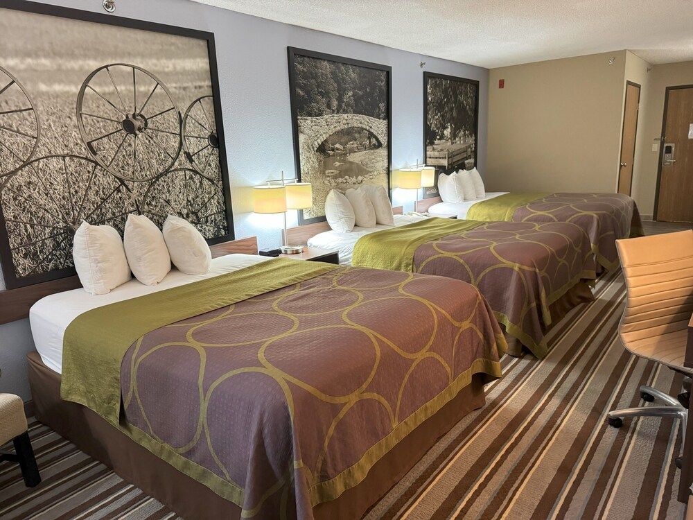 Studio, Multiple Beds, Non Smoking