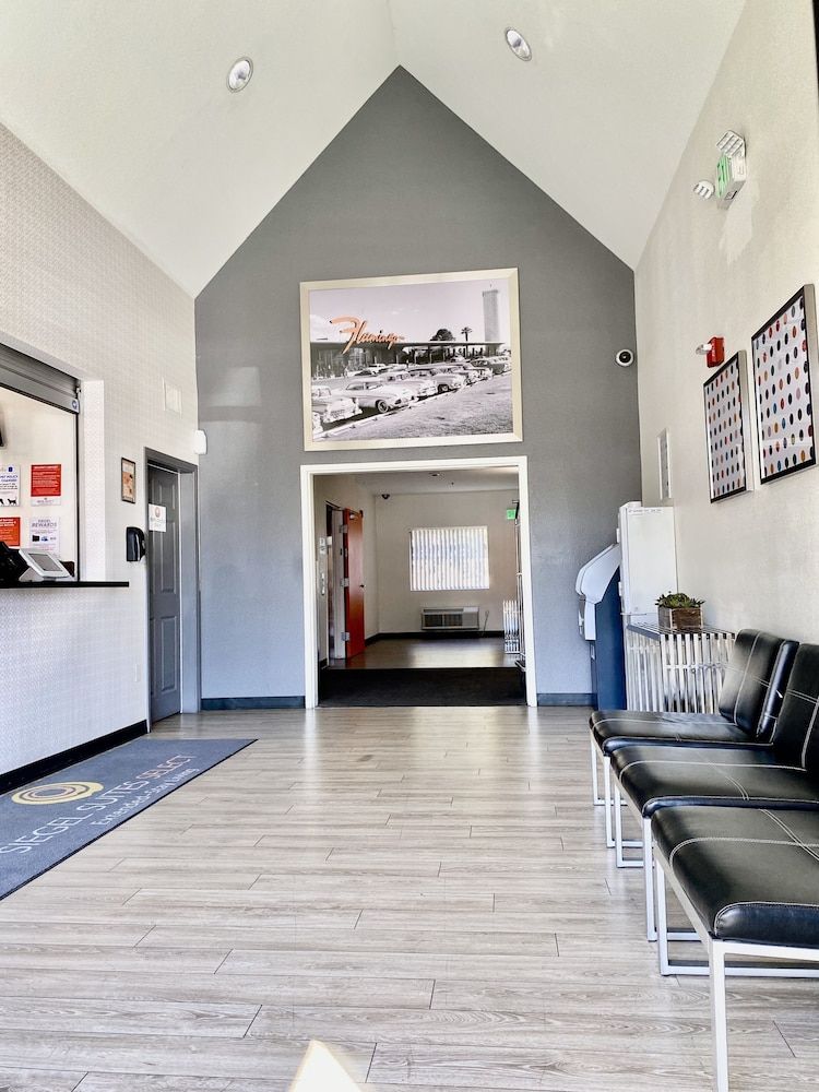 undefined Siegel Select Flamingo