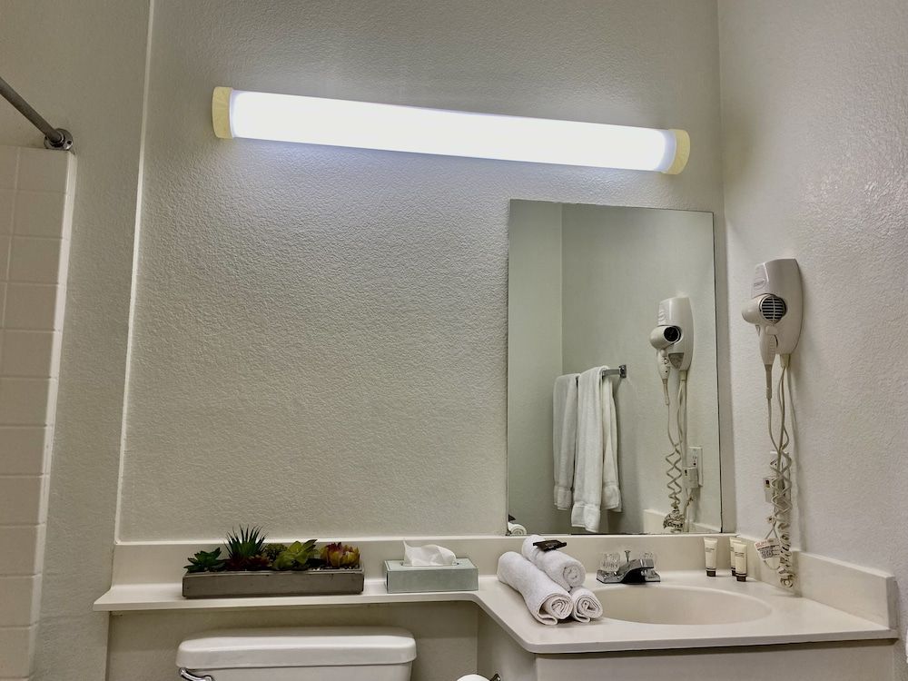 undefined Siegel Select Flamingo 8