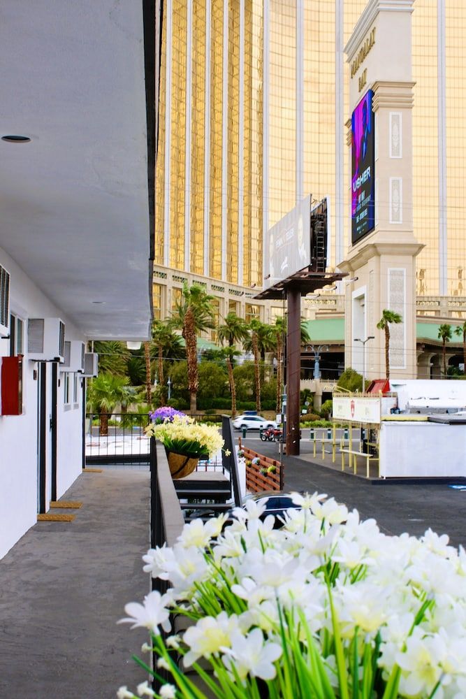 undefined Nirvana Hotel 5