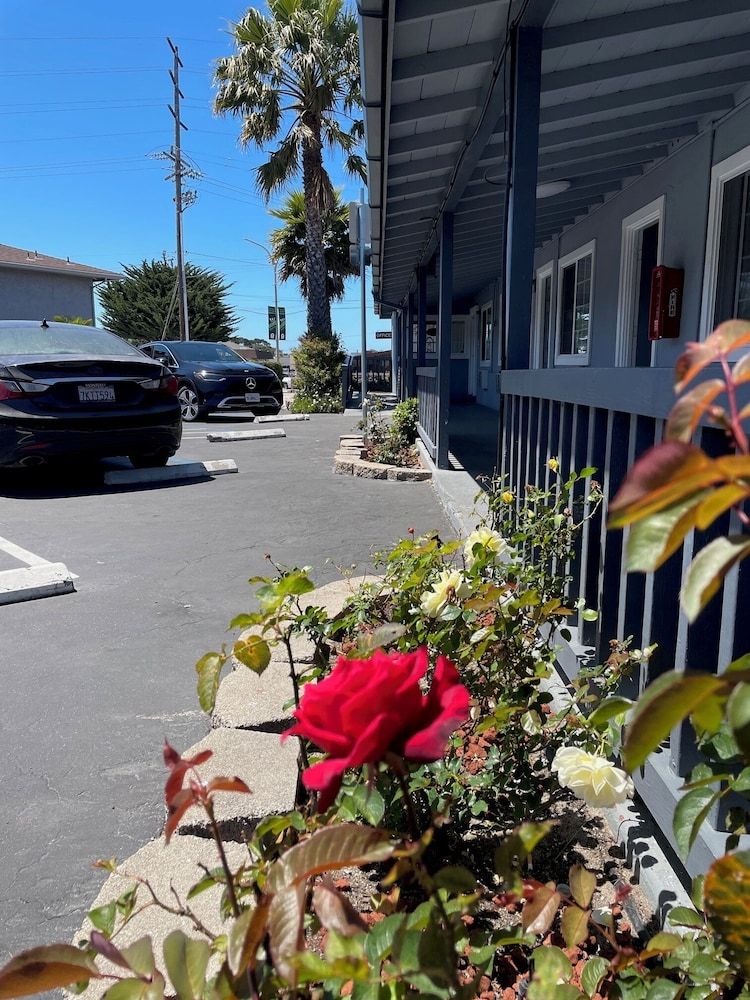 undefined Monterey Fireplace Inn 10