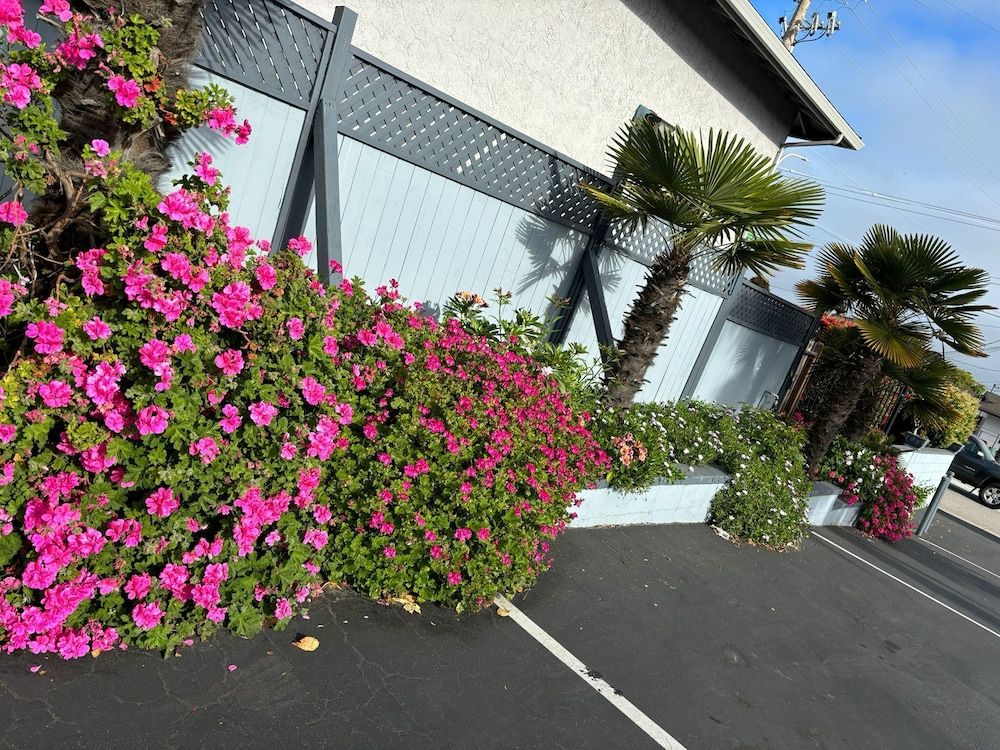 undefined Monterey Fireplace Inn 8